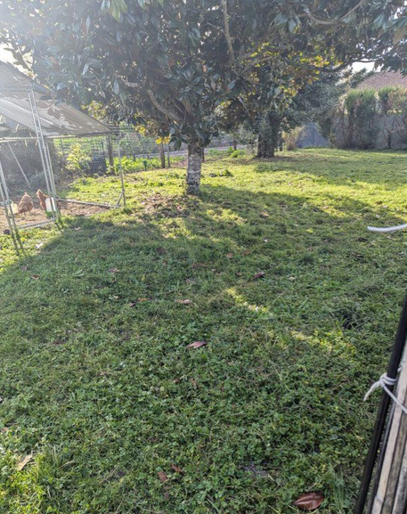 Belle grange aménageable sur terrain constructible 445m2 photo 1